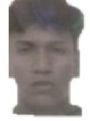 PIQUER TOMASETTI