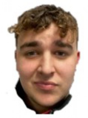 MERLANI