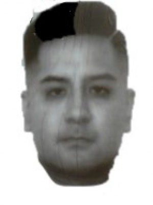 JIMENEZ VEGA