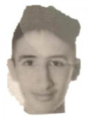 DE SIMONE