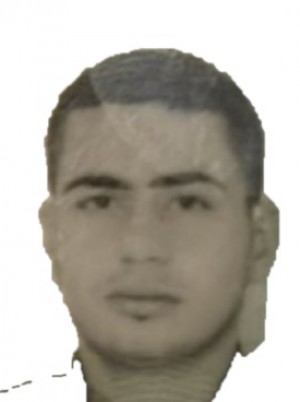 MAMMUCCARI