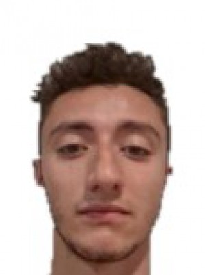 RONZITTI