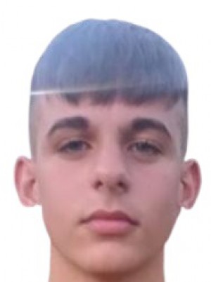 VACCARO
