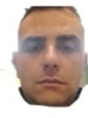 PALMIERI
