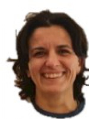 MELIS