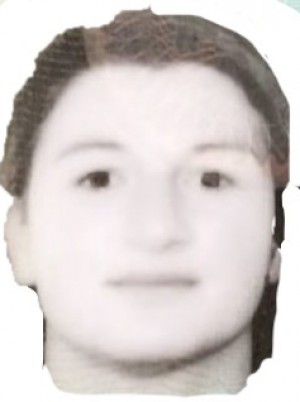 FERRETTI