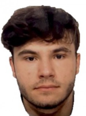 MARINI