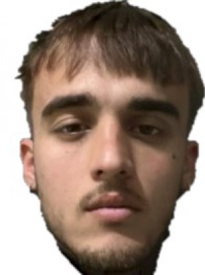 GRIFFO
