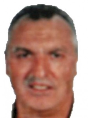 CATARINOLO
