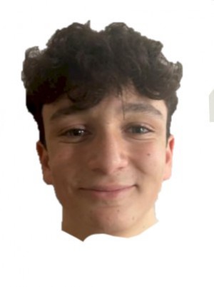 ALBERTONI