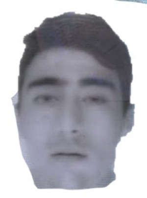 IPPOLITO