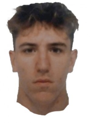 CERVELLIERI