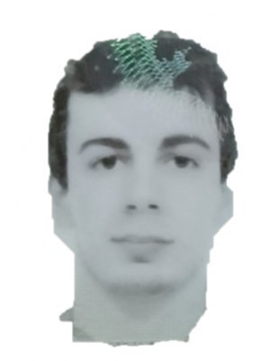 OTTOLINI