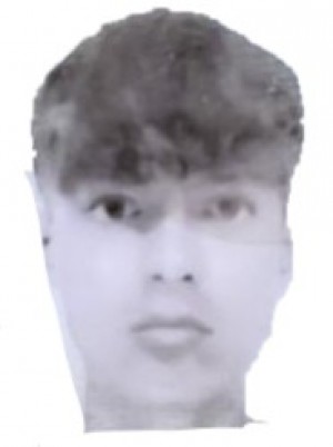 GARASSINO