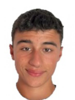 LAMALFA