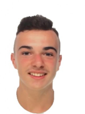 MENINI