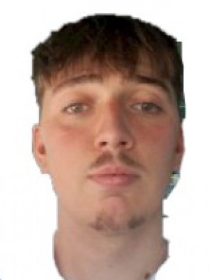 SEFA