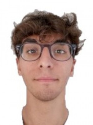 PINNA