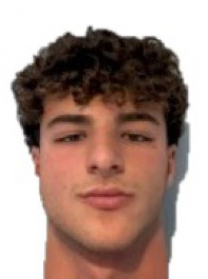 GATTOLI