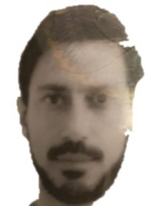 VERRONE
