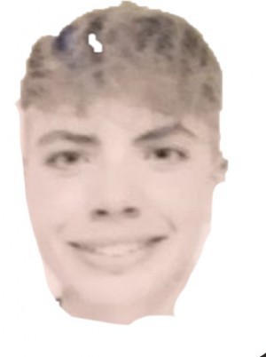 INGALLINERA