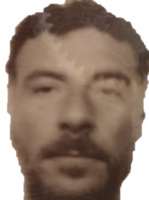 ORSONI