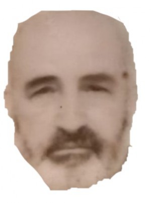 DI VANNI
