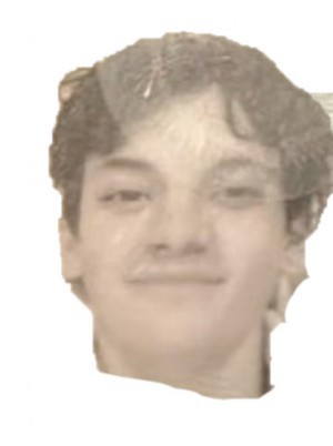 DELLEPIANE