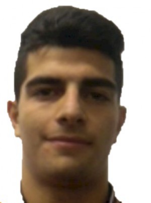 VOLPE