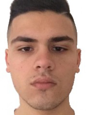 FATTORI