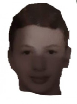 NORIS