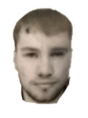 TAVANI