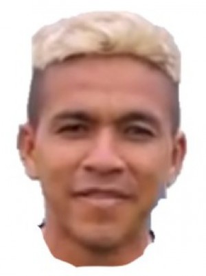 POSLINGUA GARCES