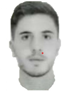 BERTOLOTTO