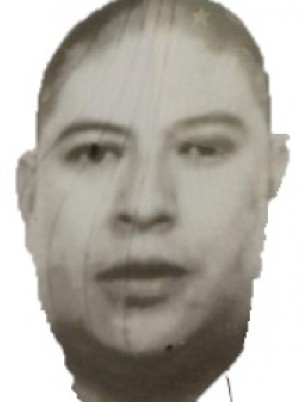 CASANOVA PALMA 