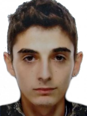 ALBANESE
