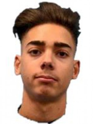 ALBANESE