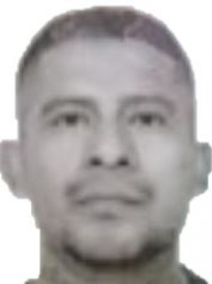 ALCIVAR ARGUELLO