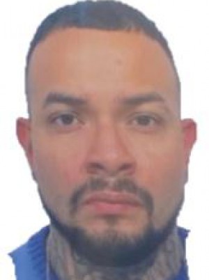 CARRILLO HIDALGO