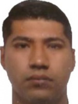 ANDRADE QUIROZ