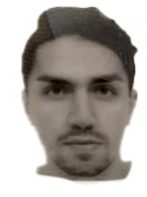 DONINELLI