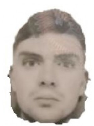FOGLI