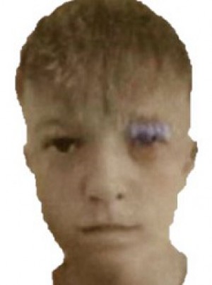 ANSALDO