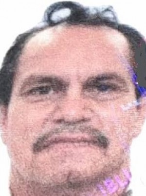 ARAUZ SOLIS
