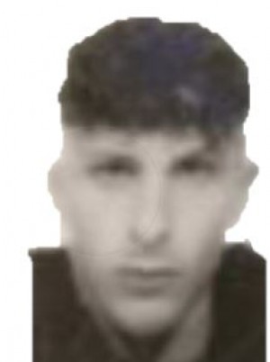 AVOLIO