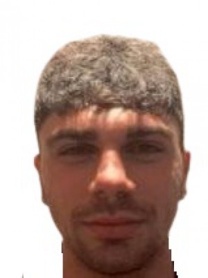 FERLITO