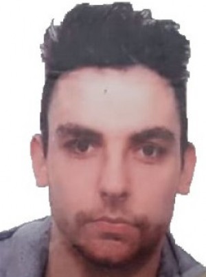 BARISONE GATTO