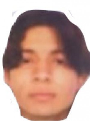 BARRETO ALVAREZ