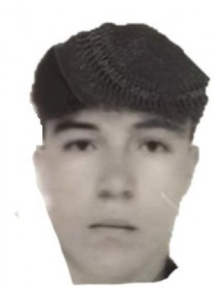 BELLONE