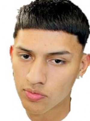 BERMUDEZ YARLEQUE